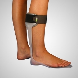 Férula antiequina de planta...