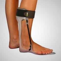 Férula antiequina varo de...