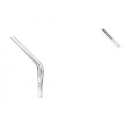 Troeltsch (Wilde) pinza...