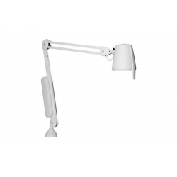 Luminaria de reconocimiento...