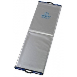 Tabla de transferencia de...